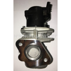 1338675 EGR  FORD FOCUS C-MAX 1,6 TDCi