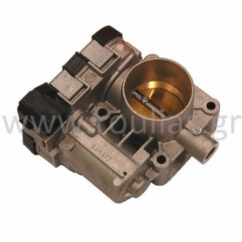 CA0018034D ΠΕΤΑΛΟΥΔΑ ΓΚΑΖΙΟΥ